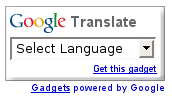 Google Translate Logo